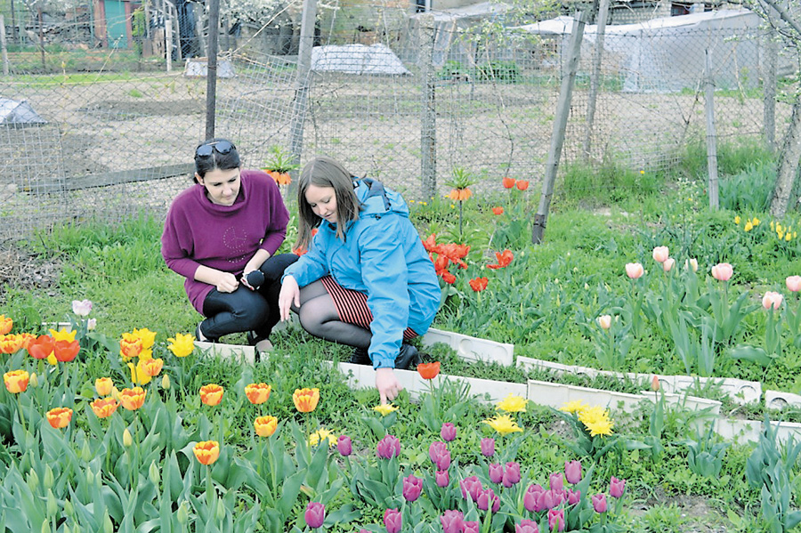 Інна (праворуч) активно запрошує всіх миколаївців відвідати її «Тюльпанову веселку». Фото автора